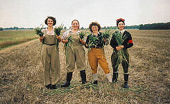 The cast of Lilies on the Land in the same location, with sheaves of corn